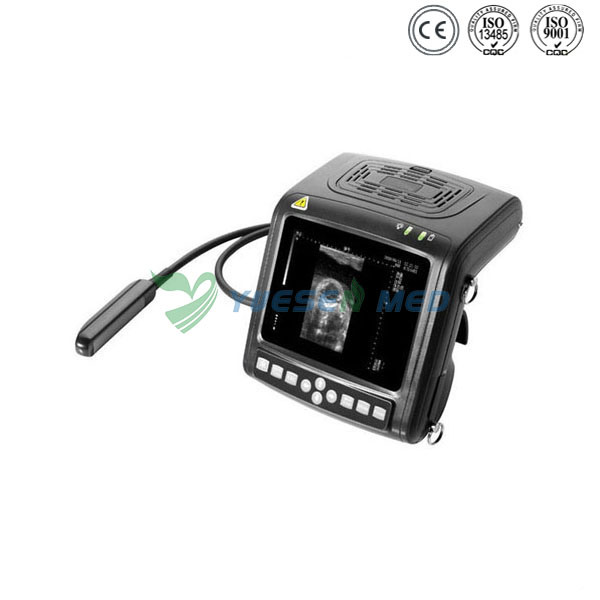 Ysb380V Portable Digital Diagnostic Veterinary Ultrasound