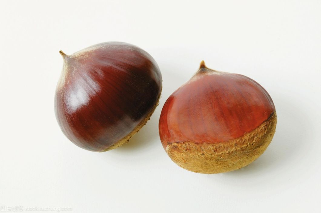 Fresh Chestnut
