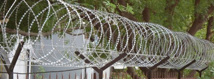 Galvanized PVC Coated Security Concertina Razor Barbed Wire for Fence