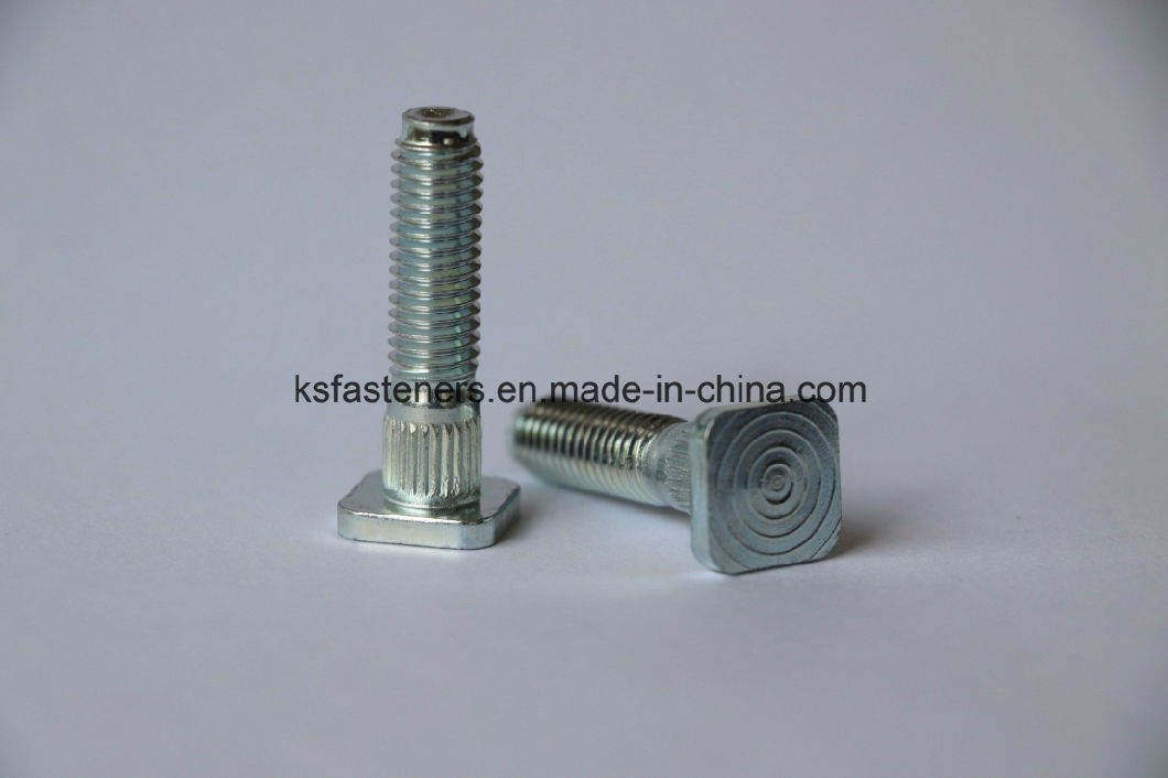 Custom Square Knurling Head Machine Thread Bolt with Blue Zinc Coating