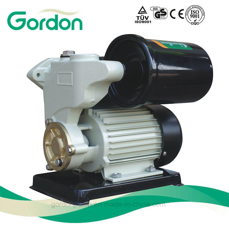 Electric Automatic Brass Impeller Water Pump with Stainless Steel Shaft