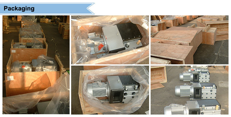 Hot Sale Oil Lubricant Vane Vacuum Pump for Roland Printing Machine