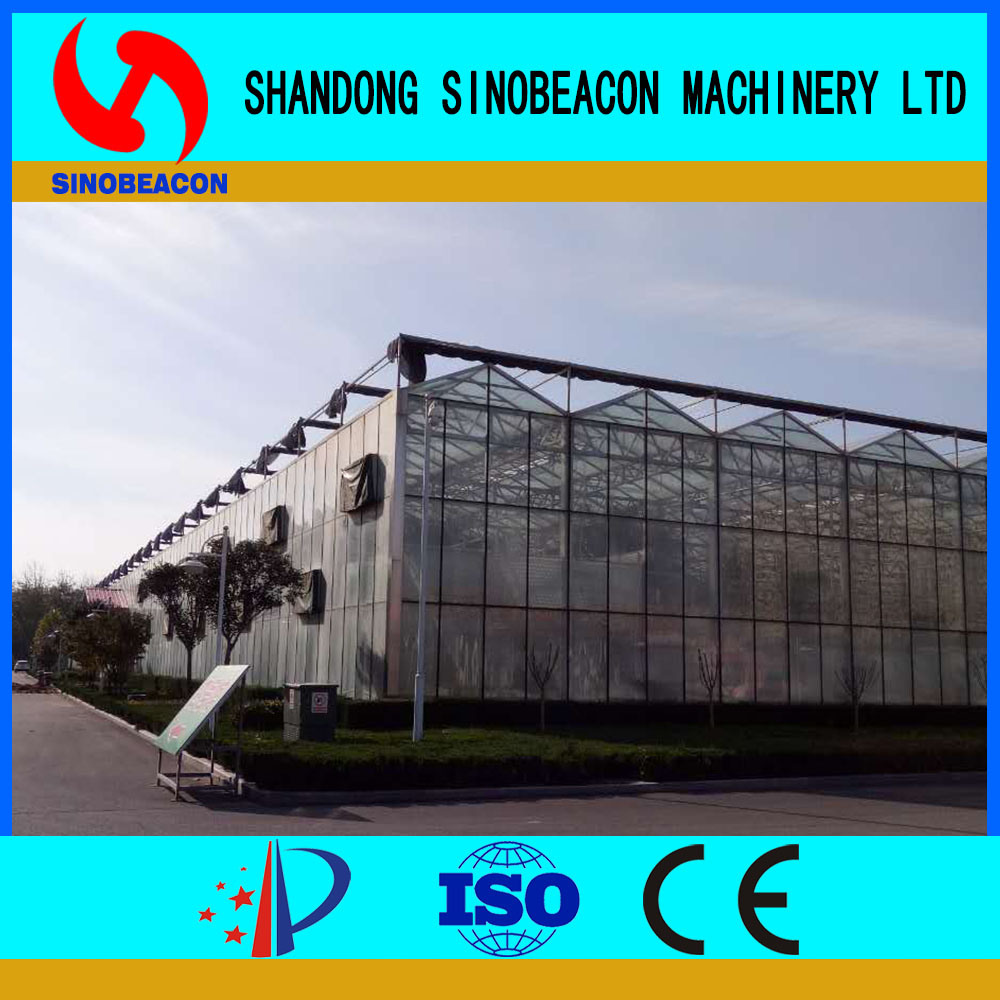 Commercial Greenhouse Mainly for North America Area
