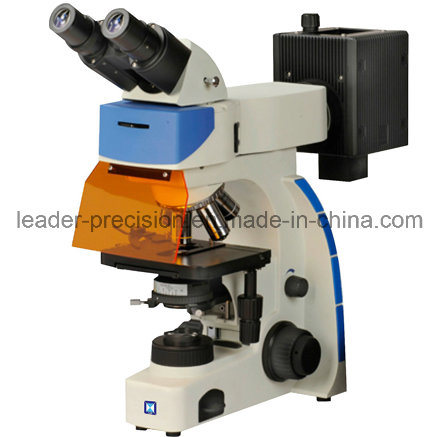 Upright Binocular Fluorescence Microscopes for Chemistry and Biological Research (LF-202)