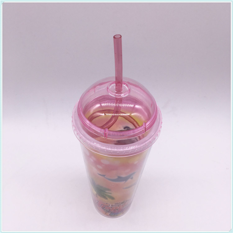 550ml Plastic Travel Mug for Coffee (SH-PM35)