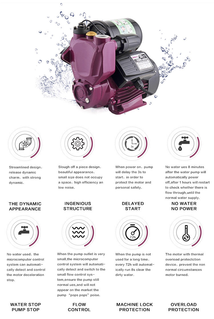 Water Pump with Hot Water Recirculating System, Circulation Pump