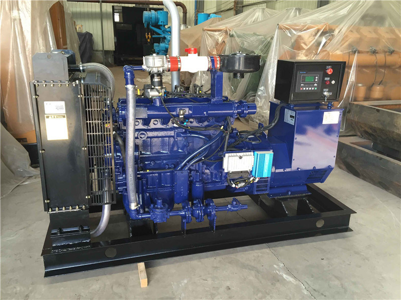 Natural Gas Generator with High Quality and Best Price (16kw- 1000kw)