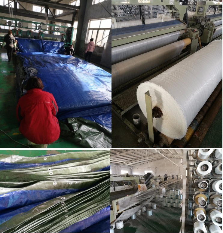 China Durable 100% Vrigin Material PE Tarpaulin