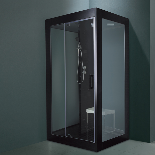 Home Portable Style Steam Shower Room (M-8284)
