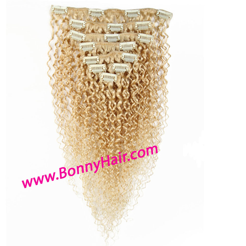 Discount Indian Virgin Human Remy Hair Clip on Hair Extension Curly Style Hair Extension