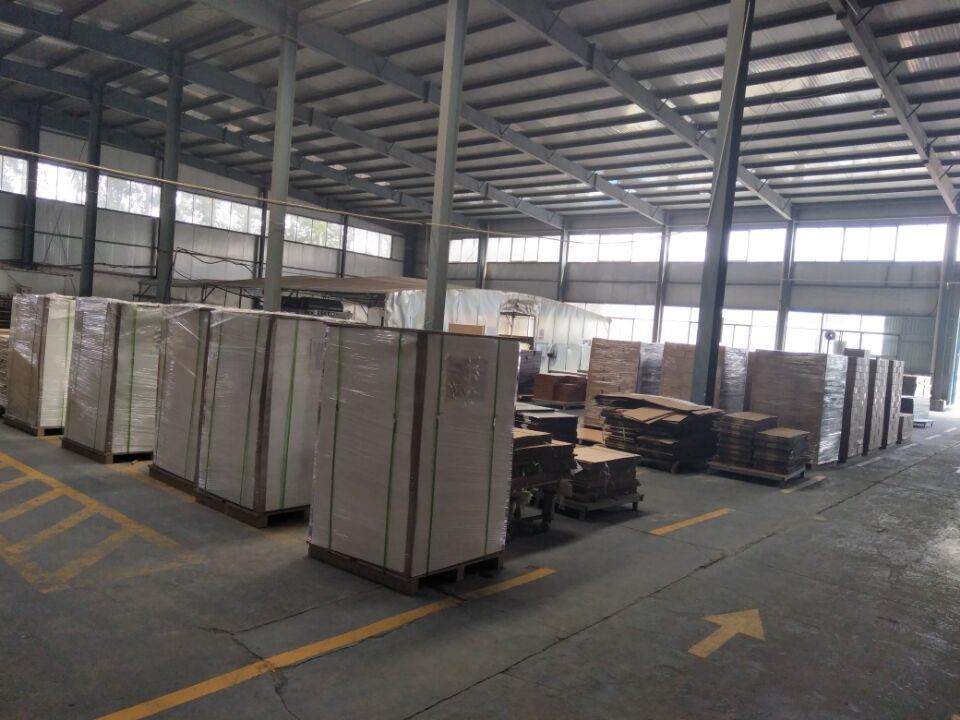 Two Doors Melamine Simple Shoe Cabinet