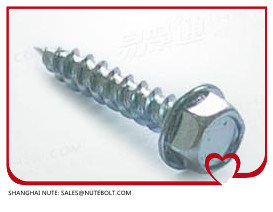 Hex Washer Head Self Tapping Screw and Self Drilling Screws