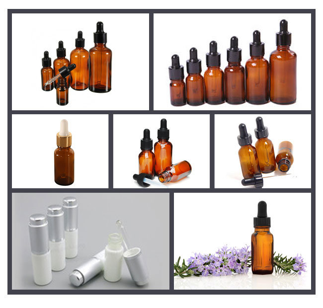 New Cosmetic Packaging Lotion Bottle Plastic Pump Bottle