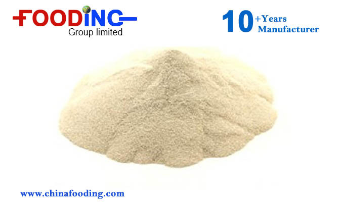 Chinese Fresh White Garlic and Dehydrated Garlic Powder