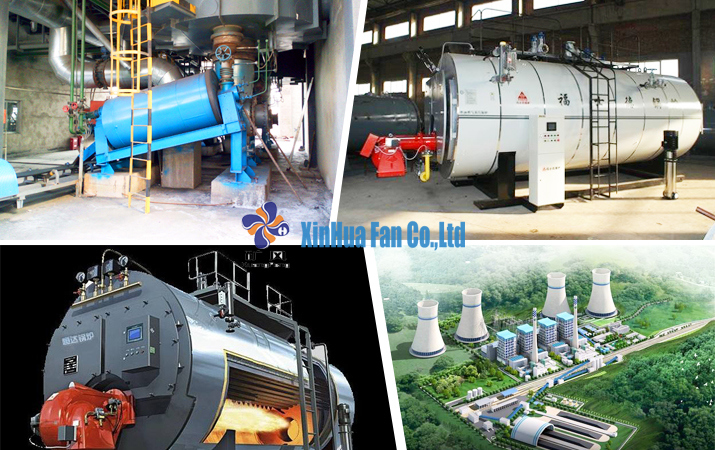 Industrial Boiler Air Blower and Ventilating Blower (BF-12)