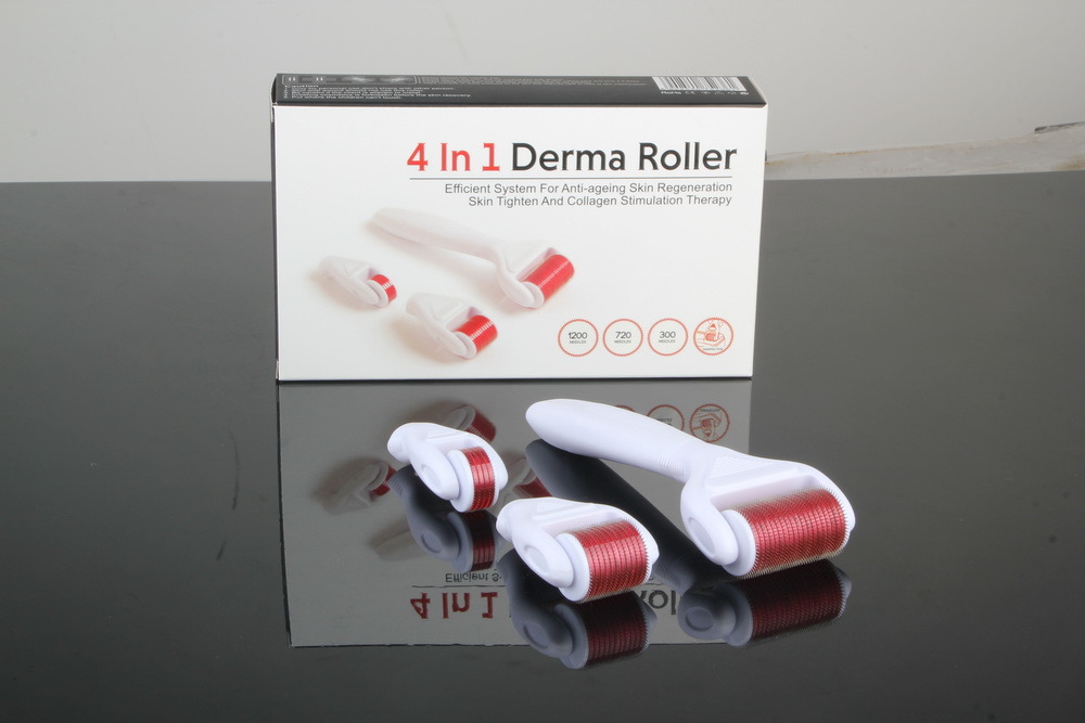 Home Use Multifunction 4 in 1 Derma Roller Price with Ce RoHS