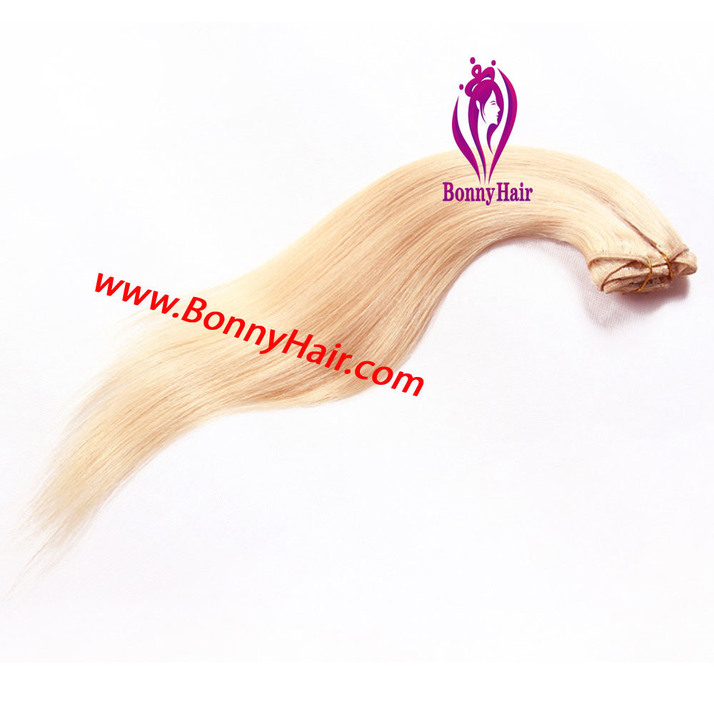 Chinese Human Remy Hair Silk Straight 8 Pieces/Set Clip on Hair Extension