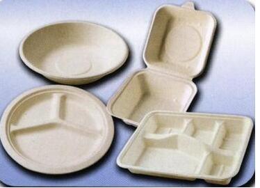 Biodegradable Sugarcane Bagasse Paper Tableware with High Quality