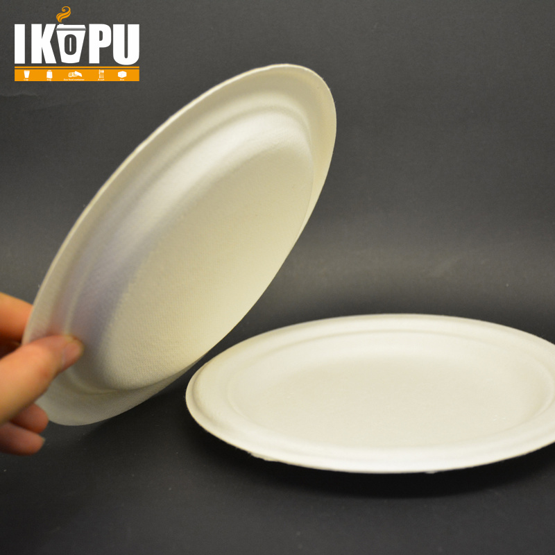 Cheap Biodegradable Corrugated Disposable Paper Plate