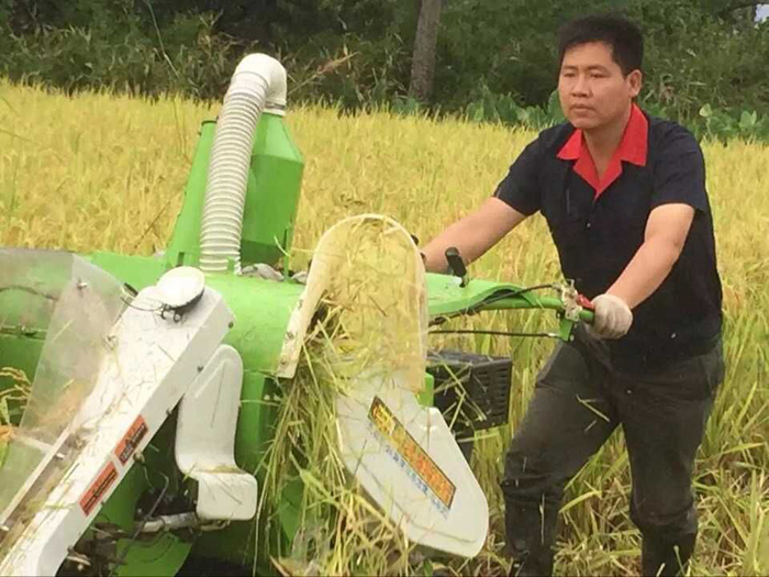 9HP Mini Rice Combine Harvester