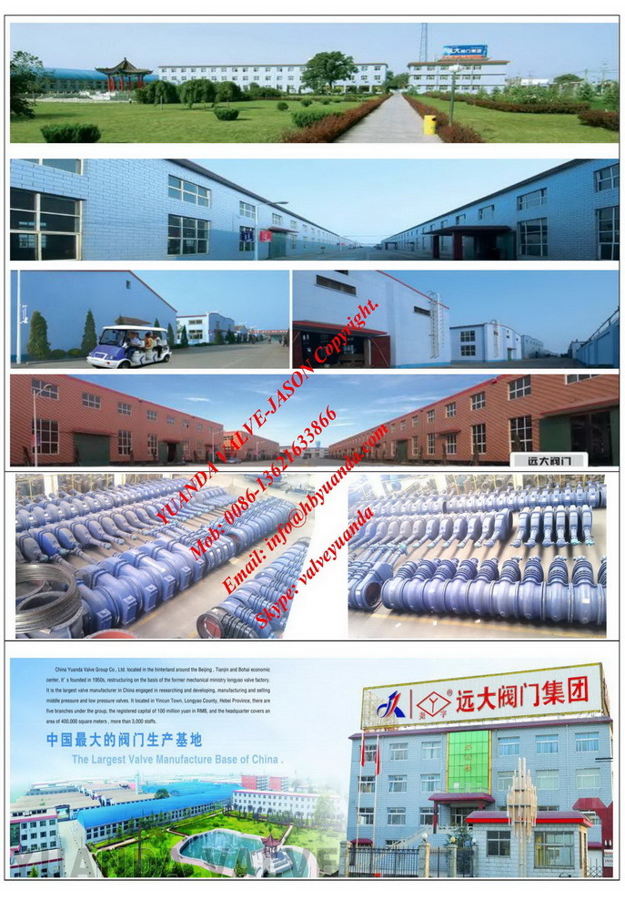 DIN3202 cast iron lift piston check valve manufacturers China