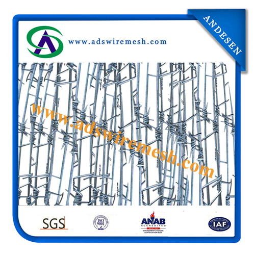 Galvanized Barbed Wire, Iowa, Motto, Bwg14*14 Bwg16*16 200m/250m/400m/500m for Brasil, Peru (Anping factory)