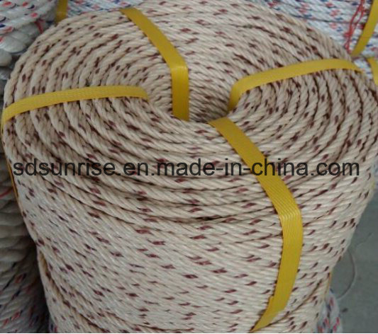 PP Danline Rope Beige with Red