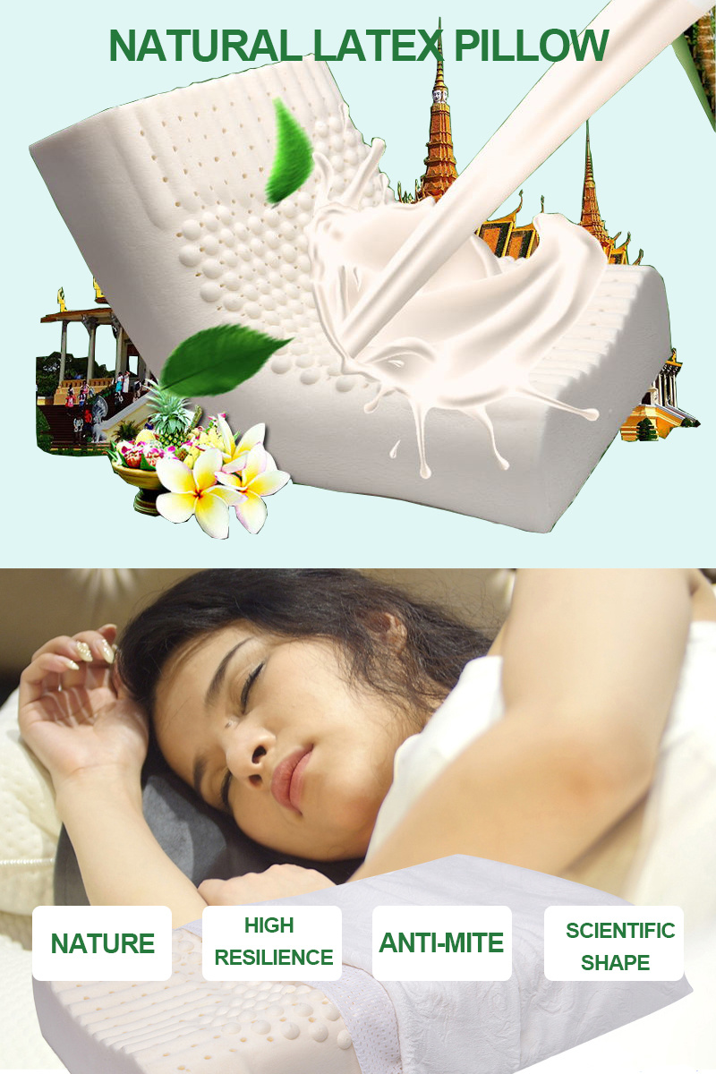Australia Decorative Contour Latex Pillows for Sale