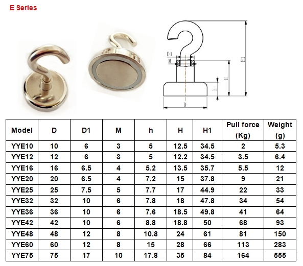 Rare Earth Neodymium Magnet with Hanging Hook