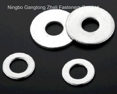 Free Sample Fasteners Stainless Steel DIN125 Flat Washer