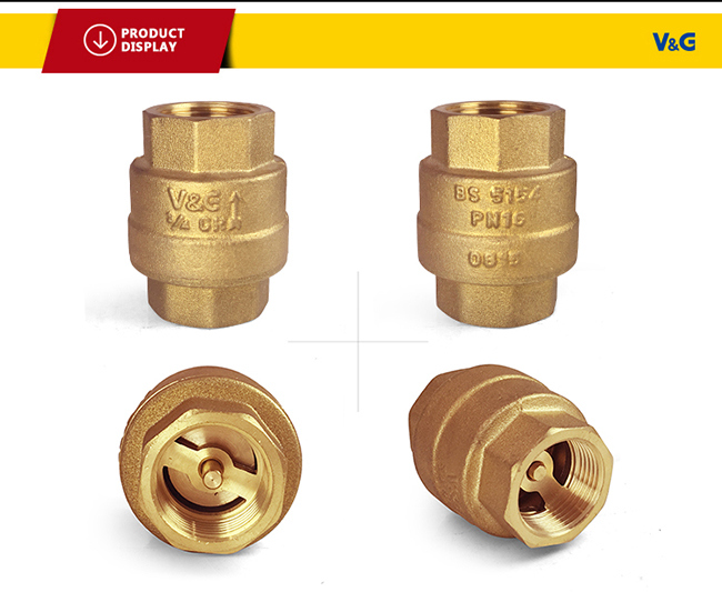 Stainless Steel Brass Spring Check Valve (VG12.90081)