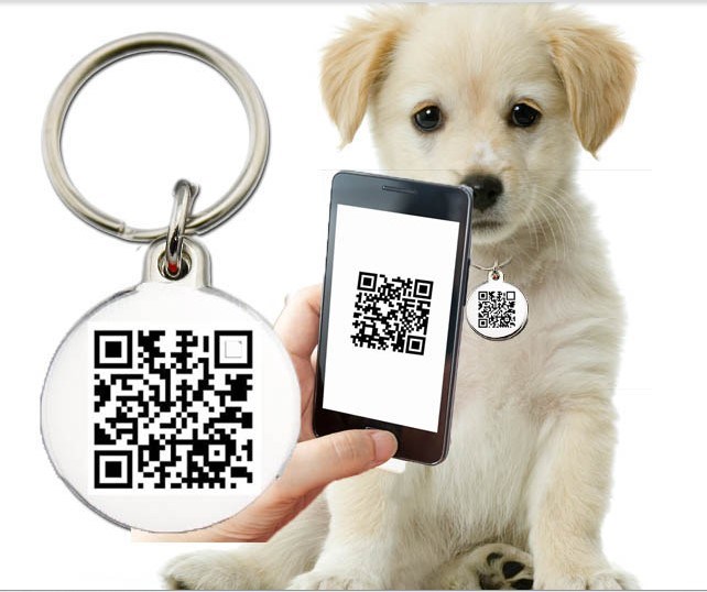 Customized Metal Key Chain/PVC ID/Dog Tag