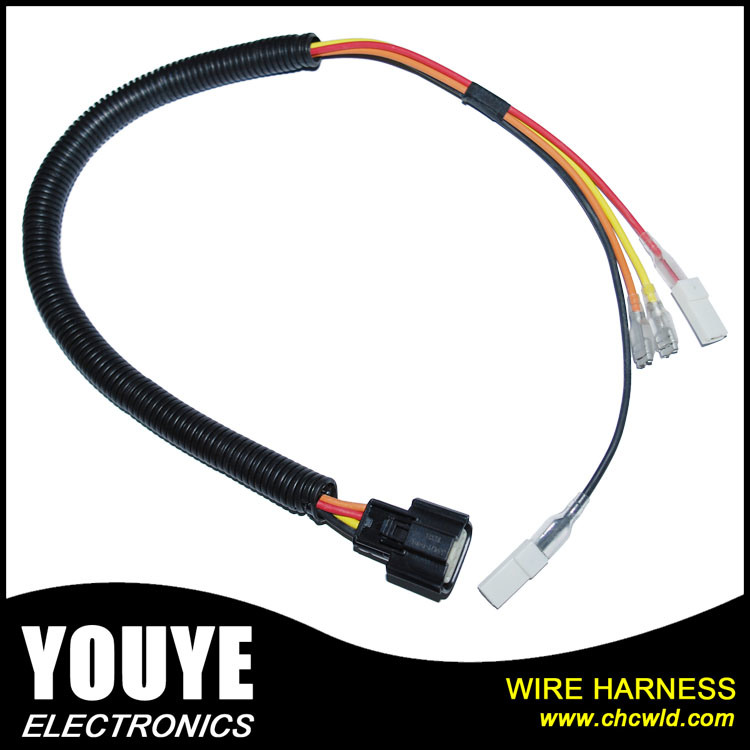 Customized Home Appliance Electrical Machine Wire Harness Motor Power Supply Cord