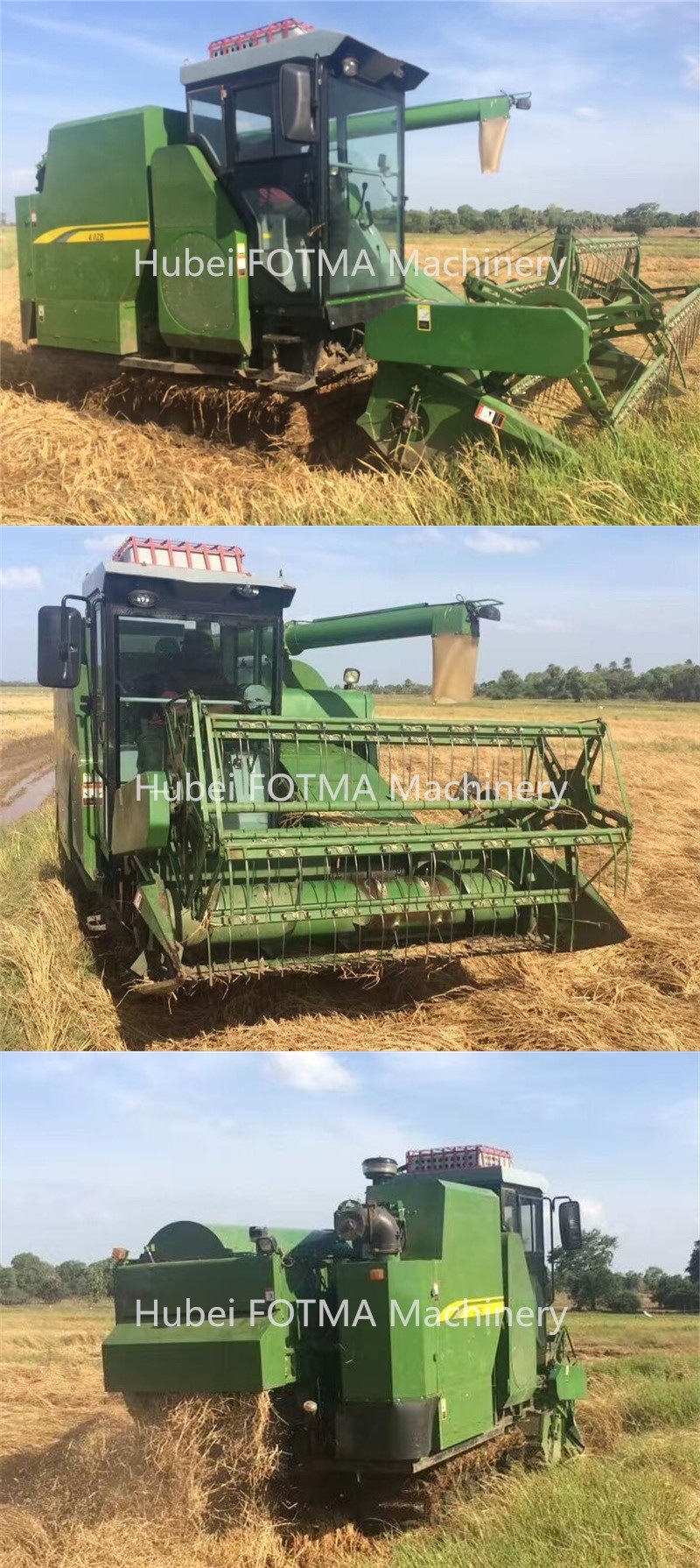 Rice/Paddy/Grain and Wheat/Corn Combine Harvester