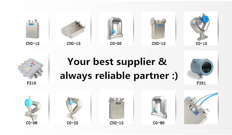 LPG Gas Coriolis Mass Flow Meter