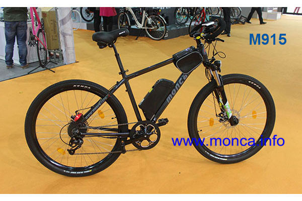 Ce En15194 Approved Mountain MTB Electric Bike E Bicycle Scooter 500W 8fun Motor 29er Tyre