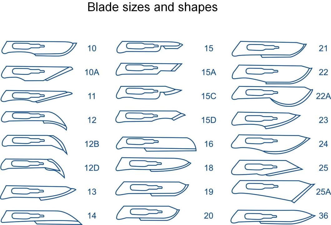 Surgical Scalpel Blade, Disposable Scalpel Blades