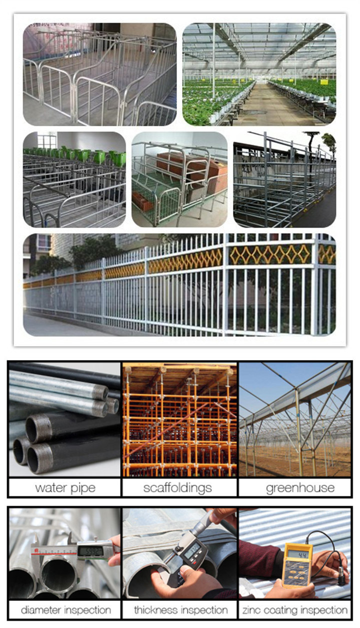 BS1387 Standard Hot DIP Galvanized Steel Tube