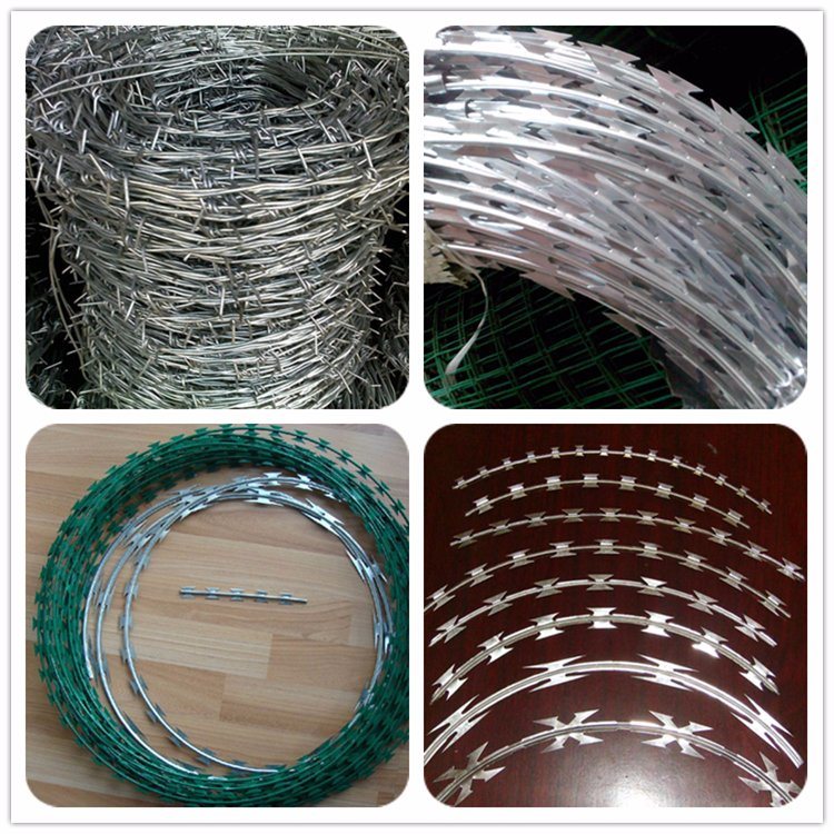 Plastic PVC Coated Barbed Wire Mesh (15*15)