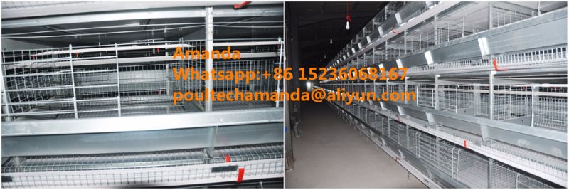 Automatic Good Price & Quality H Frame Type Layer Cage Equipment