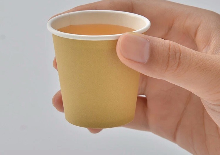 Disposable Coffee Tasting Paper Cup with All Sizes