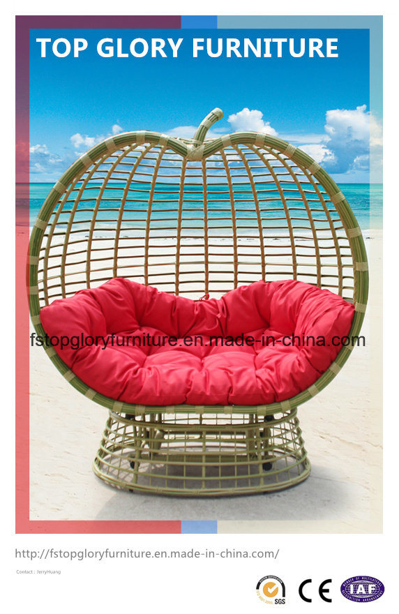 Wicker Furniture Handing Swing Rattan Chair (TGDL-059)