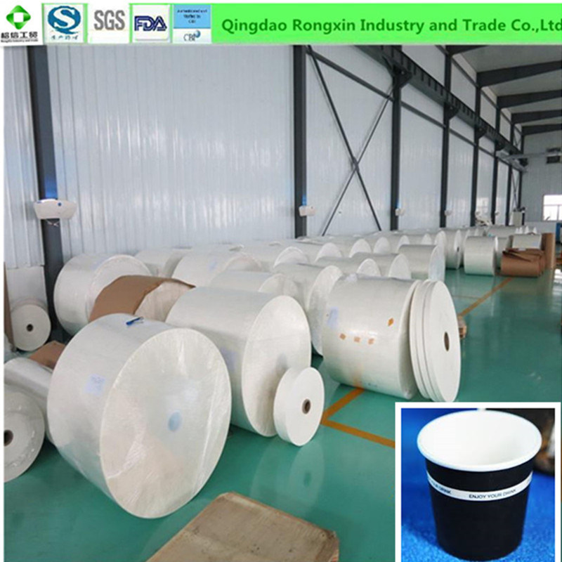 Single/Double Sides PE Coated Paper for Milk, Coffee and Hot Drinking Cup