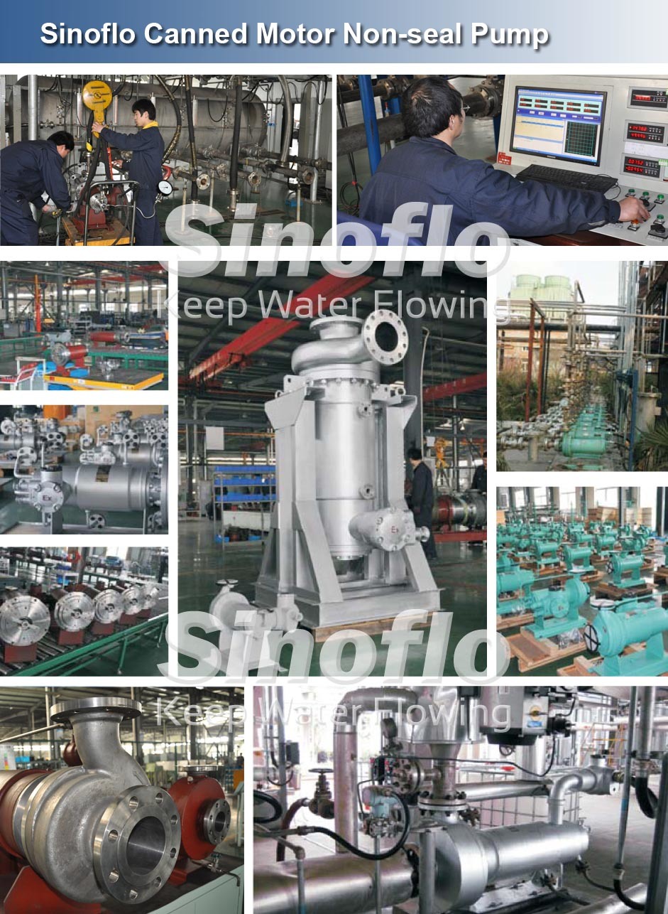 Vertical Hot Water Circulation Canned Motor Pump