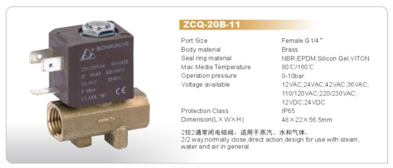 220VAC Leakage Detect Machine Brass Solenoid Valve (ZCQ-20B-11)