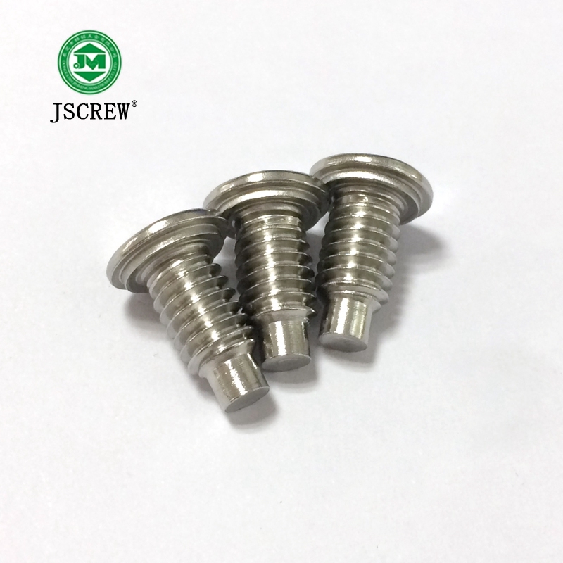 Ss304 Stainless Steel Special Customer Bolts