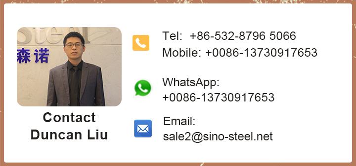 Z180 Hot Dipped Zinc Coated Galvanized Steel Stirp (gi) with SGS Standard Test