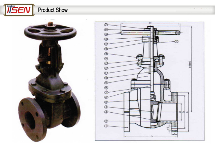 Ductile Iron Ggg40/Ggg50 4 Inch/6inch Water Gate Valve with Stem Extension