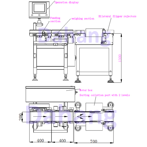 Dhcw-400X200 Conveyor Belt Checkweigher