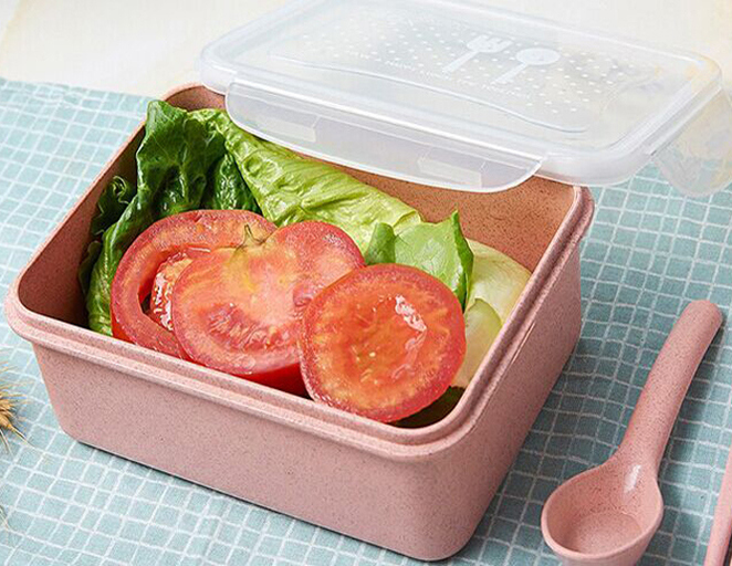 Wheat Straw Fiber Lunch Box Thermal Insulated Picnic Food Container